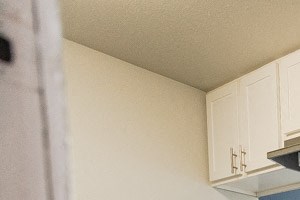 Renton Apartments - The Aviator Apartments - Entryway, Kitchen, and Living Room
